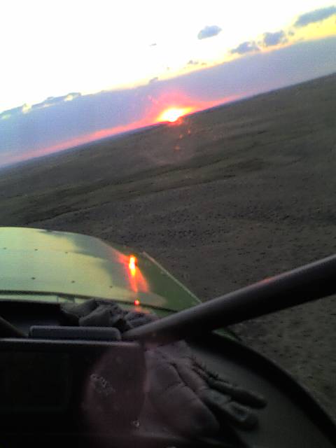 Early Morning AeroScouting